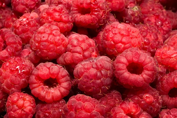 Raspberries — Stock Photo, Image