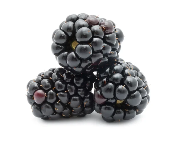 Blackberry — Stock Photo, Image