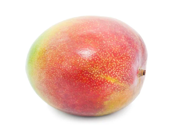 Mango — Zdjęcie stockowe