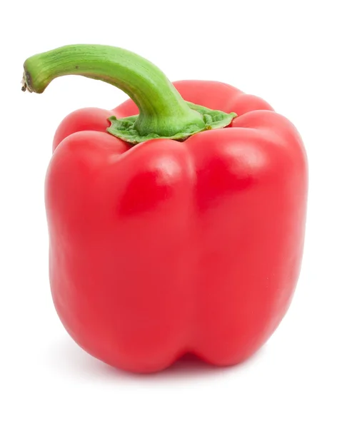 Bell pepper — Stock Photo, Image