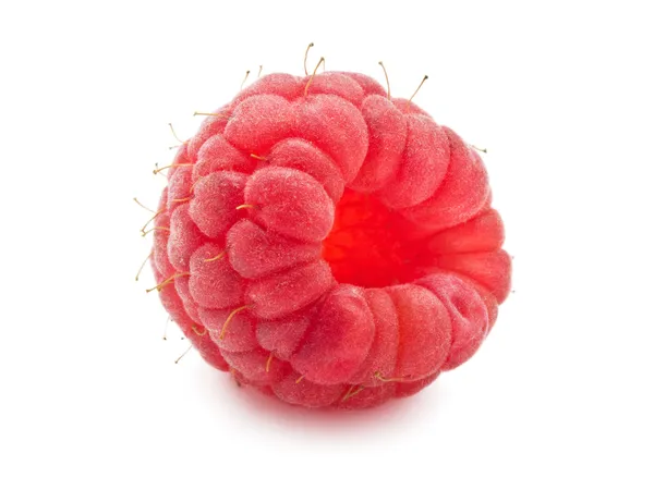 新鲜树莓 — 图库照片