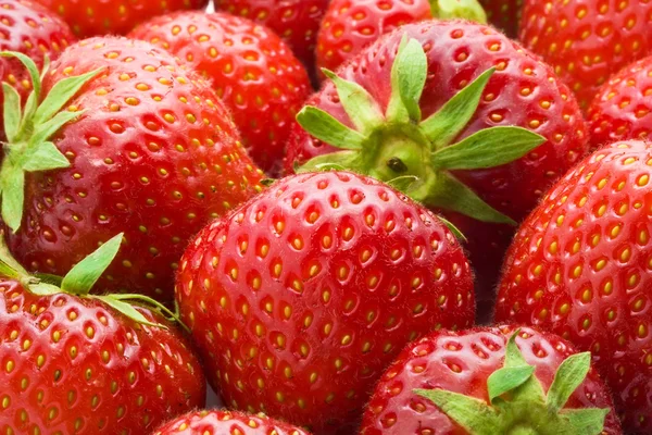 Strawberries — Stock Photo, Image