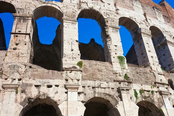 Colisée à Rome — Photo
