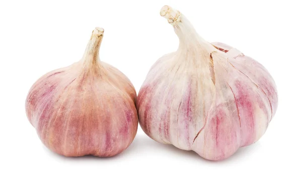 Knoblauch — Stockfoto