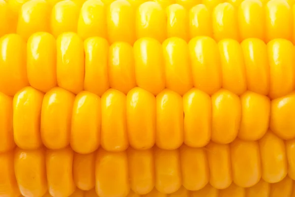 Corn — Stock Photo, Image