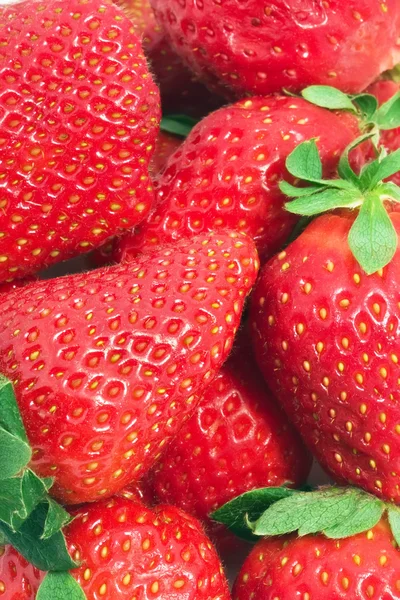 Erdbeeren — Stockfoto