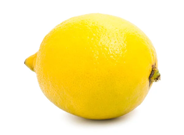 Citron — Photo