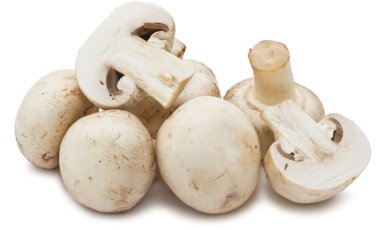 champignon mantarları