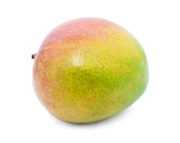 Mango — Stock fotografie