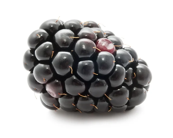 Blackberry — Stock Photo, Image