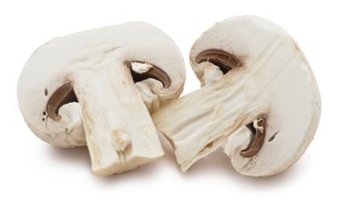 champignon mantarları