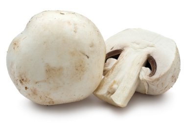 champignon mantarları