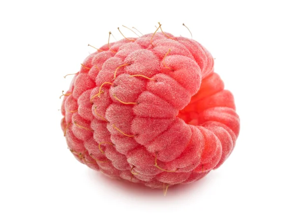 Fresh raspberry — Stock Photo, Image