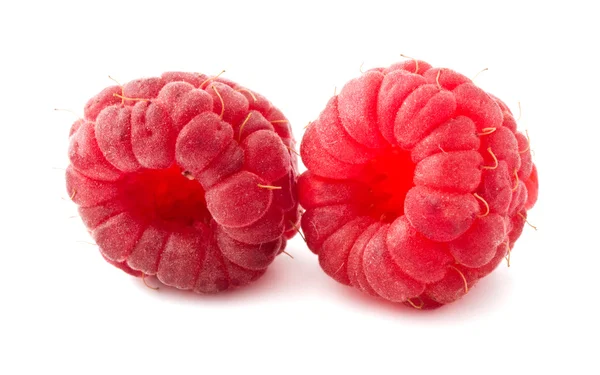 ताजा रास्पबेरी — स्टॉक फ़ोटो, इमेज