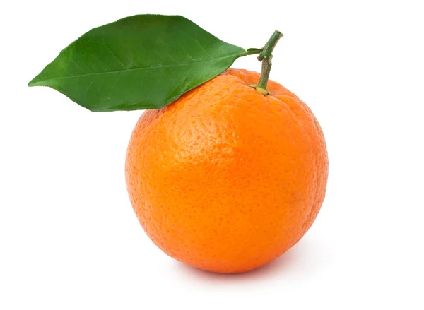 Tangerine — Stockfoto