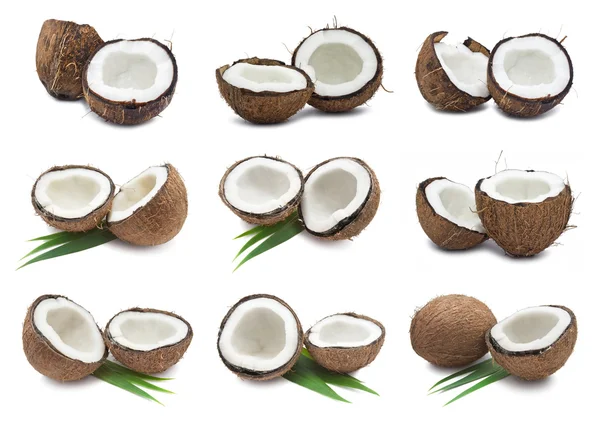 Kookospähkinät — kuvapankkivalokuva