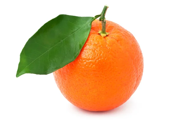 Tangerine — Stockfoto