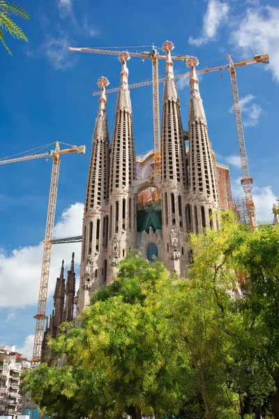 Sagrada familia v Barceloně — Stock fotografie