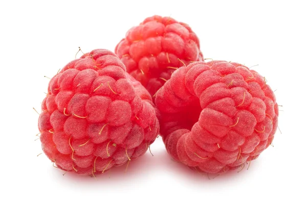 Frische Himbeeren — Stockfoto