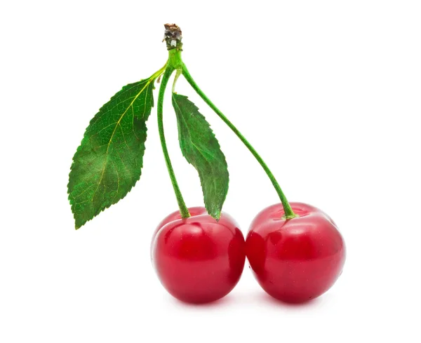 Cereza roja — Foto de Stock