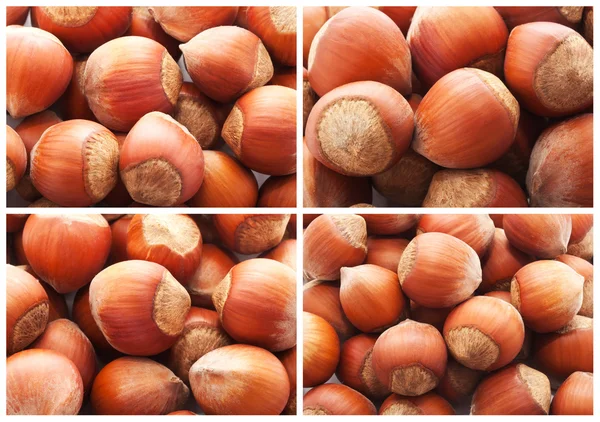 Hazelnuts or filbert nuts — Stock Photo, Image