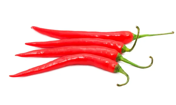 Hot chili pepper — Stock Photo, Image