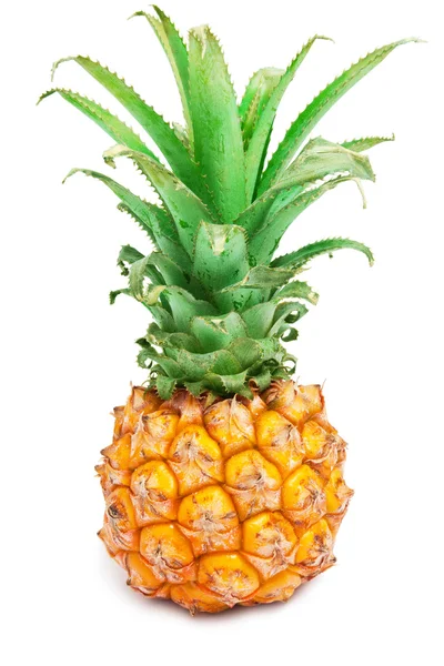 Ananas — Zdjęcie stockowe