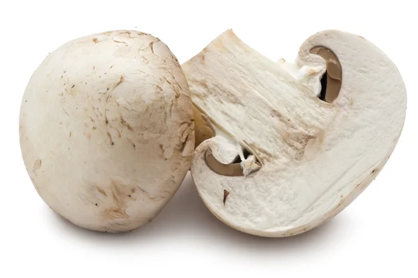 Champignon mushrooms Royalty Free Stock Images