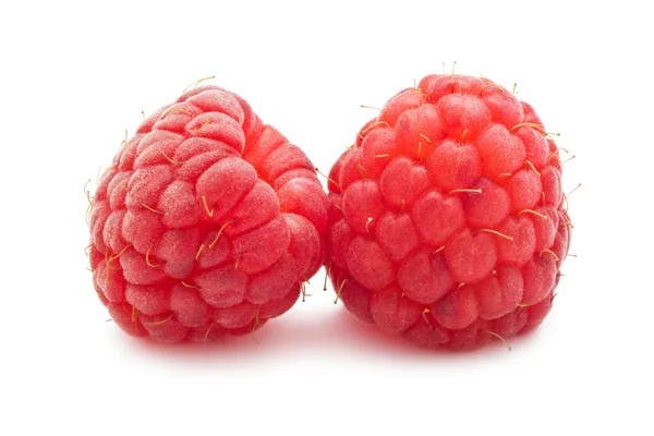 Framboises fraîches — Photo