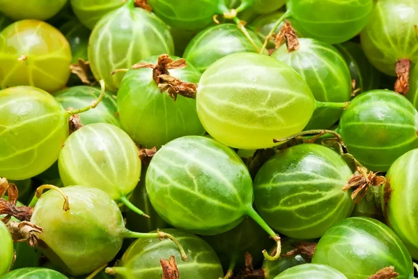 Stachelbeeren — Stockfoto