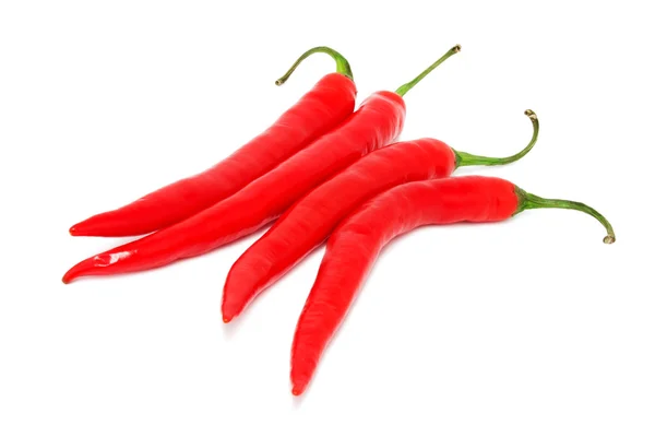 Hot chili pepper — Stock fotografie