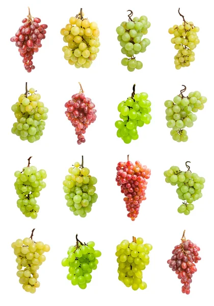 Grapes — Stock Photo, Image