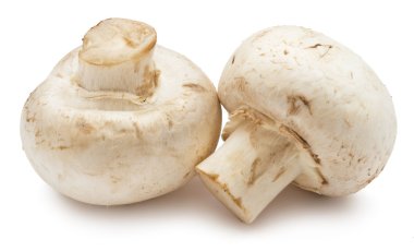 champignon mantarları