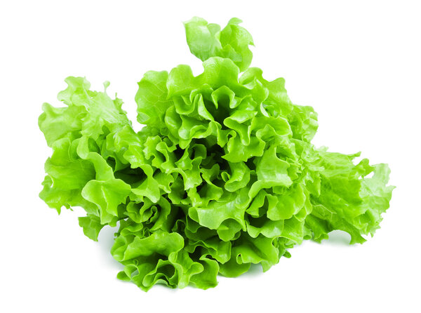Lettuce