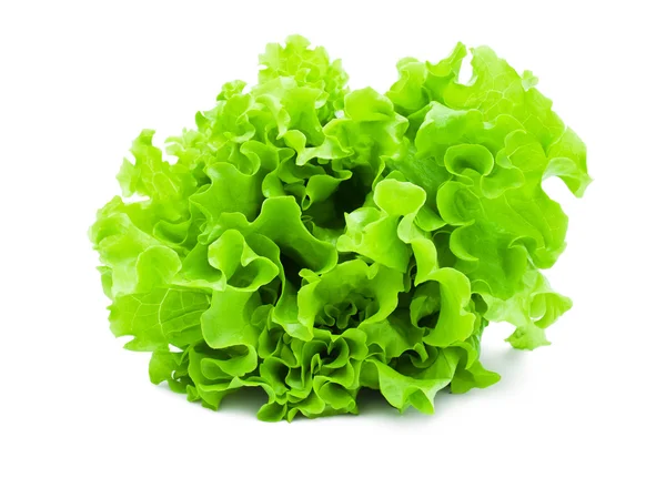 Kopfsalat — Stockfoto