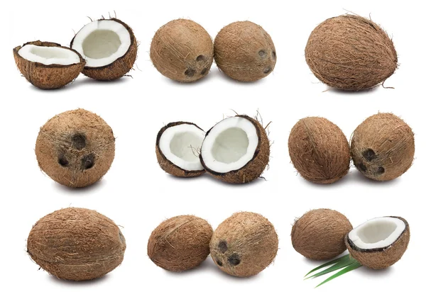 Kokosnødder - Stock-foto