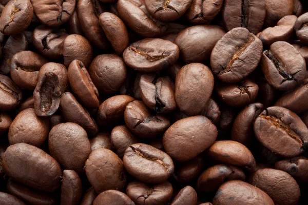 Coffee beans — Stock Photo, Image