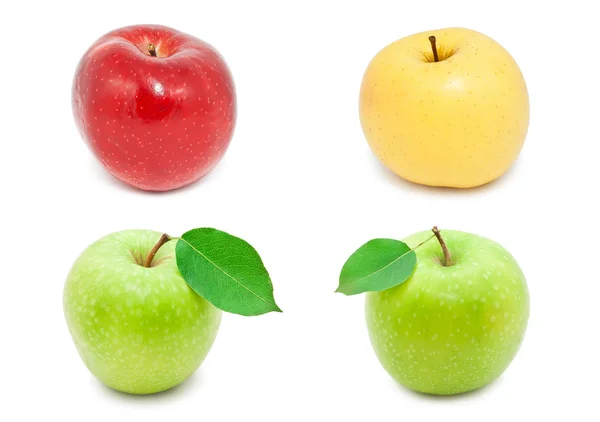 Apples — Stock Photo, Image