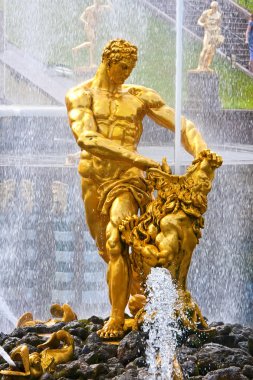 Petrodvorets Çeşmeleri Peterhof, Saint Petersburg, Rusya