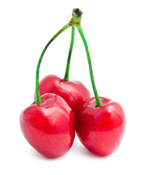 Cereza roja — Foto de Stock