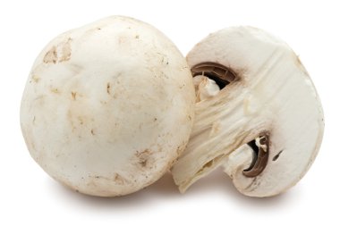 champignon mantarları