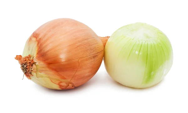 Onion — Stock Photo, Image