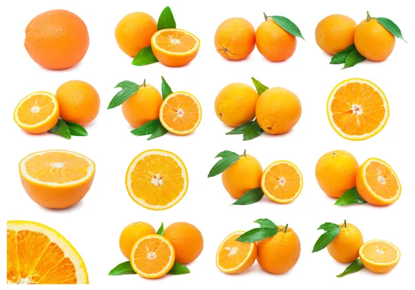 Orangen — Stockfoto