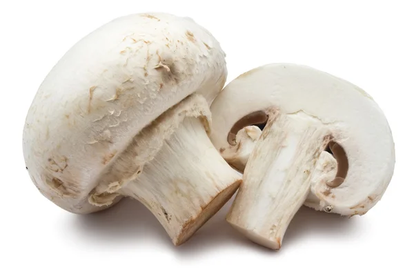 Champignon-Pilze — Stockfoto