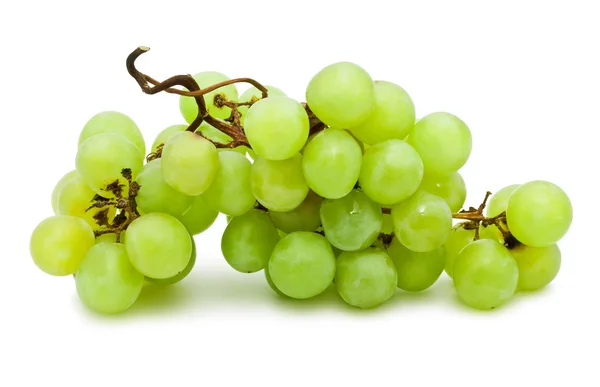 Grapes — Stock Photo, Image