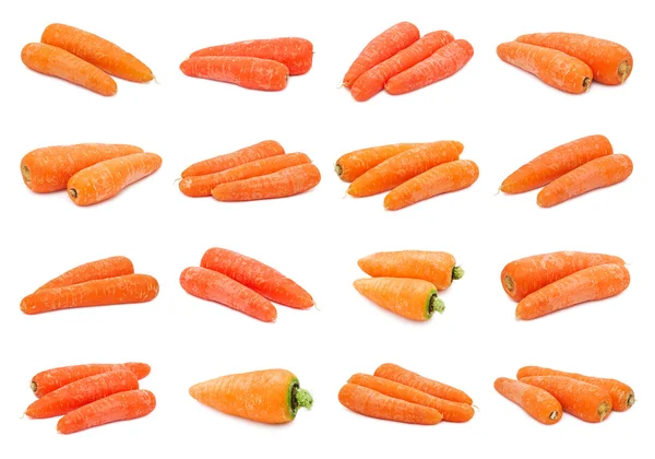 Carrot — Stock Photo, Image