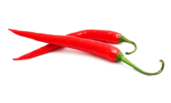 Hot chili pepper — Stock Photo, Image