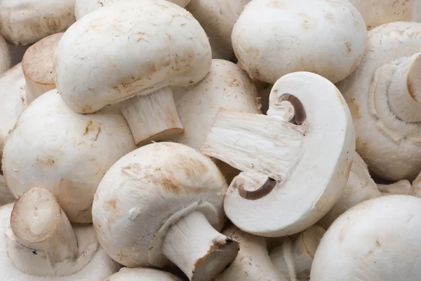 Champignon mushrooms Royalty Free Stock Photos