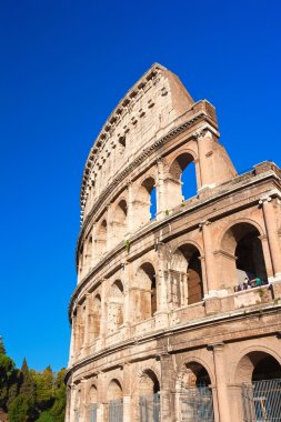 Roma 'da kolezyum