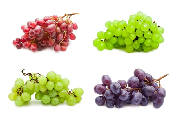 Grapes — Stock Photo, Image